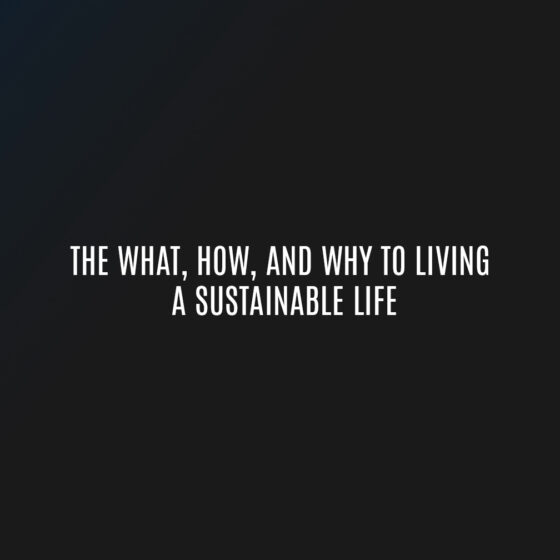 The What, How, and Why to Living a Sustainable Life