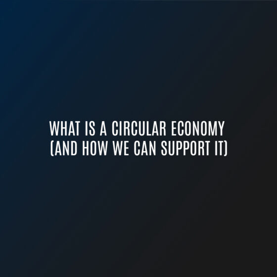 What is a Circular Economy (And How We Can Support it)